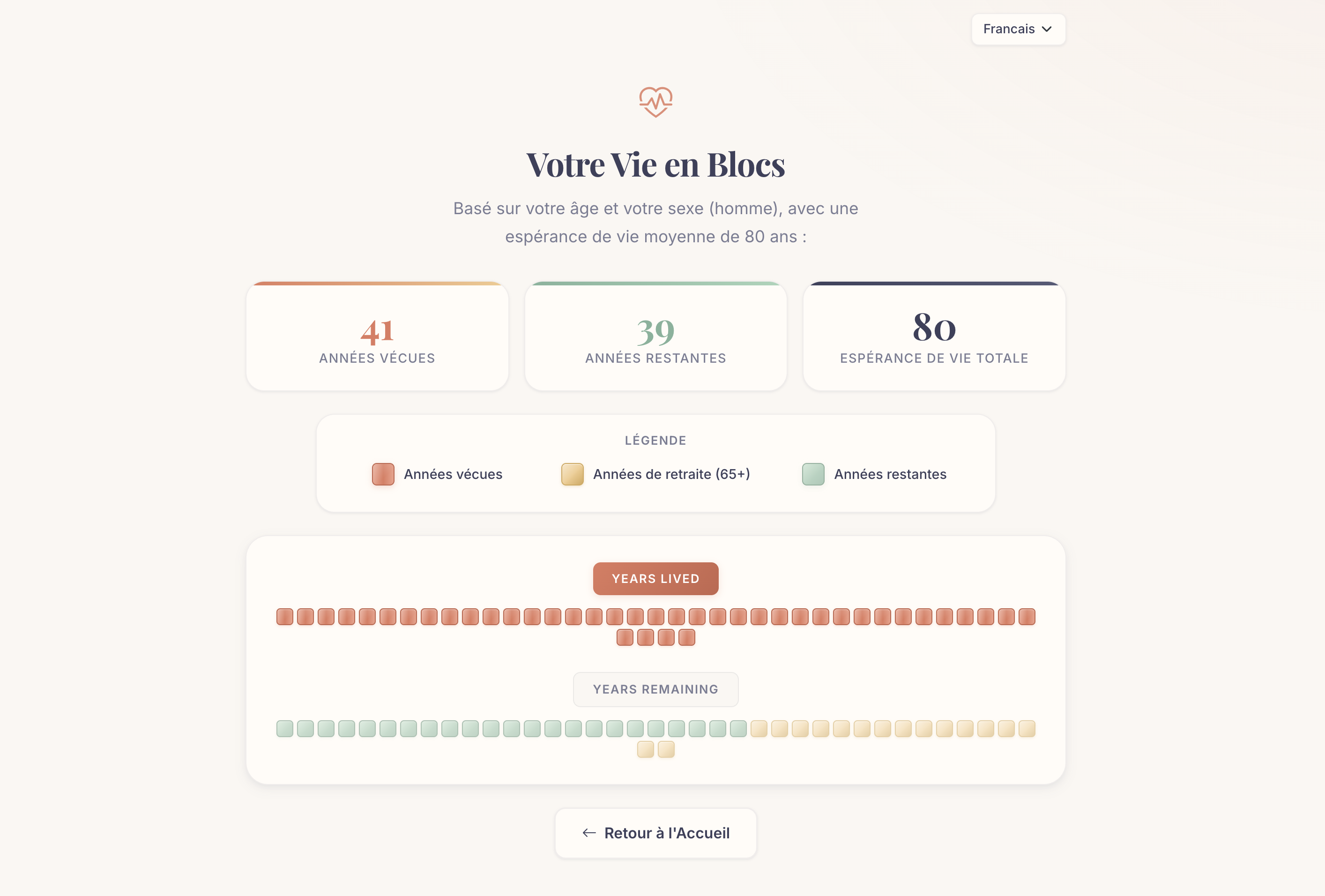 Life Block DataViz screenshot